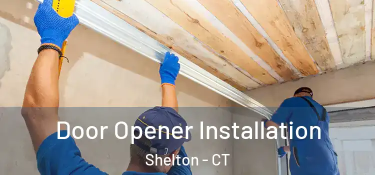  Door Opener Installation Shelton - CT