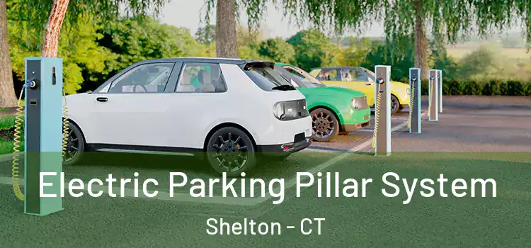 Electric Parking Pillar System Shelton - CT