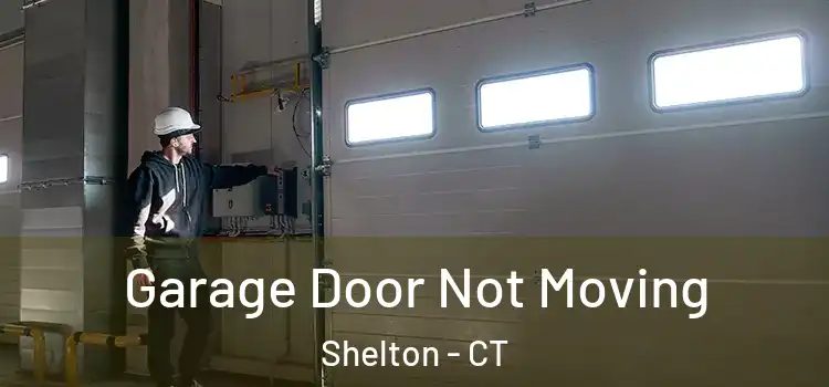  Garage Door Not Moving Shelton - CT