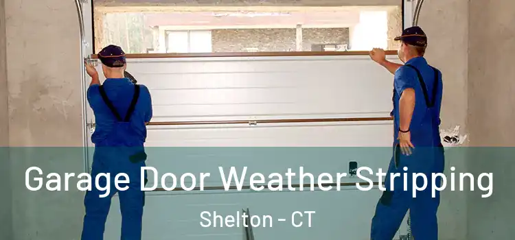  Garage Door Weather Stripping Shelton - CT