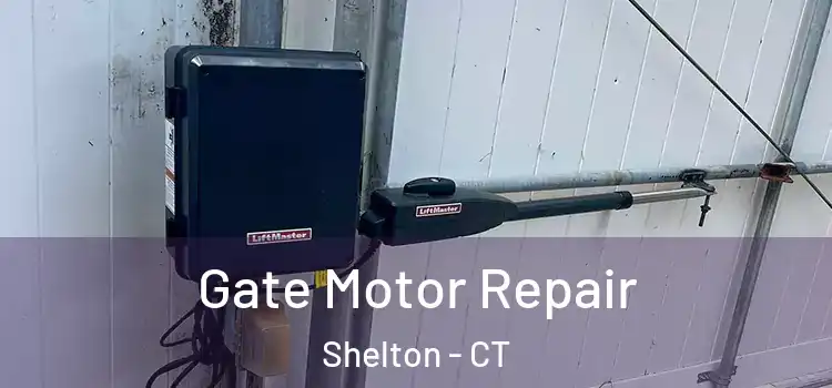  Gate Motor Repair Shelton - CT