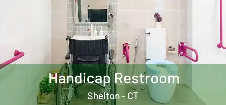  Handicap Restroom Shelton - CT