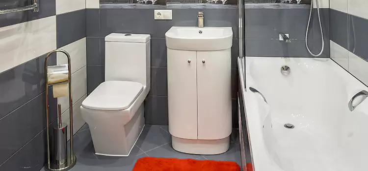 Hansgrohe Shaving Mirror Shelton