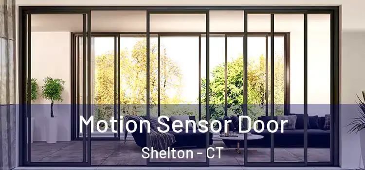  Motion Sensor Door Shelton - CT