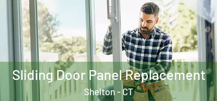  Sliding Door Panel Replacement Shelton - CT